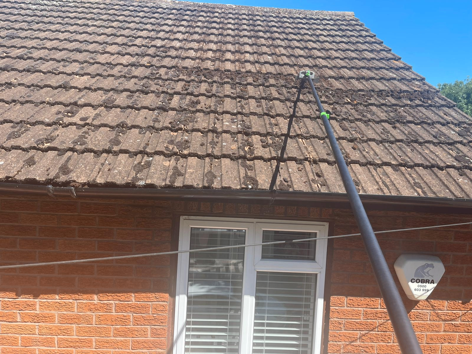Concrete roof tiles with heavy dirt and debris before cleaning